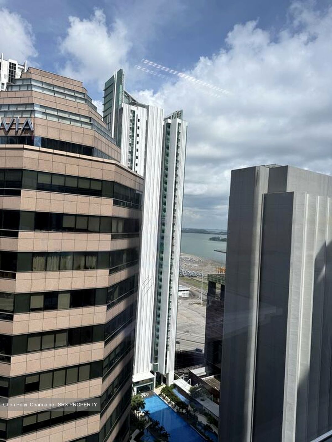 Mapletree Anson (D2), Office #451553911